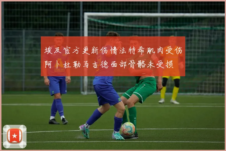 埃及官方更新伤情法特希肌肉受伤阿卜杜勒马吉德面部骨骼未受损