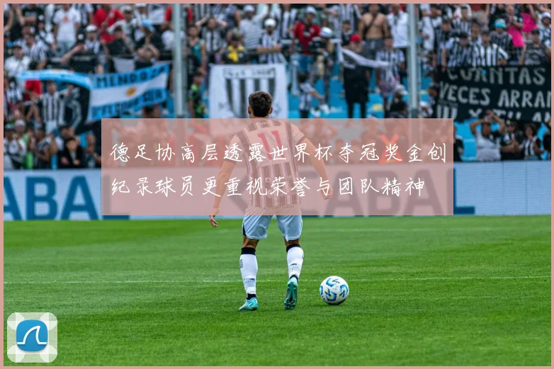 德足协高层透露世界杯夺冠奖金创纪录球员更重视荣誉与团队精神